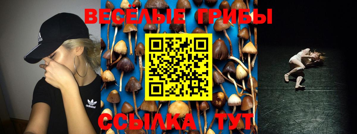 Псилоцибиновые грибы Psilocybine cubensis Строитель