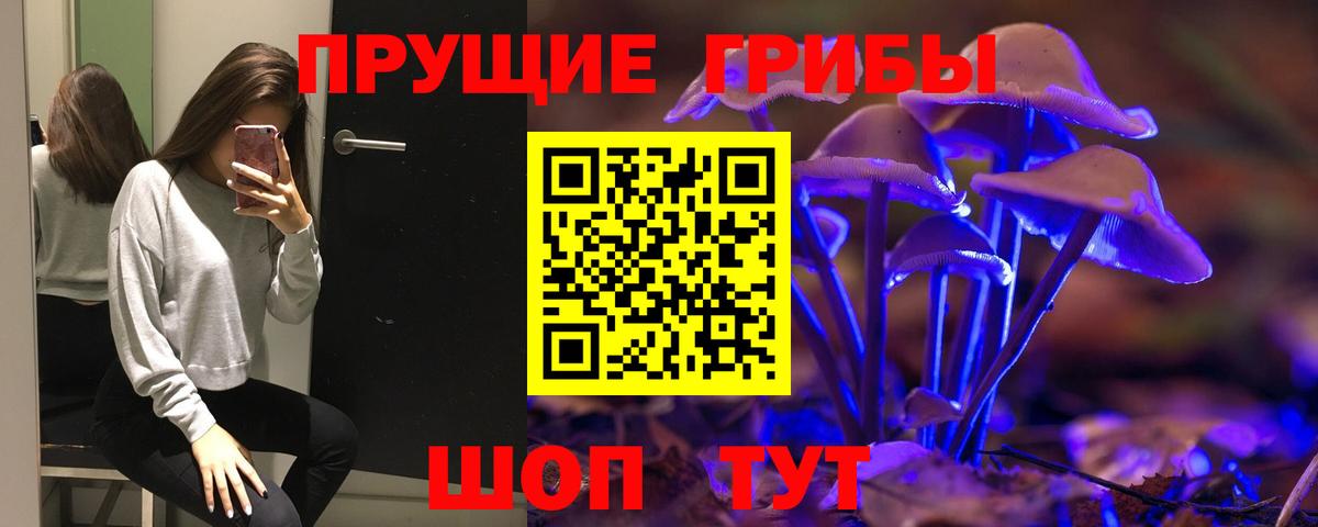 Псилоцибиновые грибы прущие грибы  Вход с VPN  Строитель 